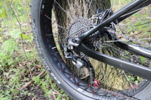 Fatbike verbod Vondelpark: nieuwe regels in Amsterdam